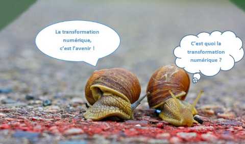illustration-pretexte-transformation-digitale-course-escargots