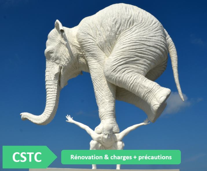 CSTC-elephant-sur-dos-homme-illustration-pretexte-charges-renovation