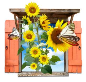 Flowers_Sunflowers_Window_Icon_by_Itzik_Gur