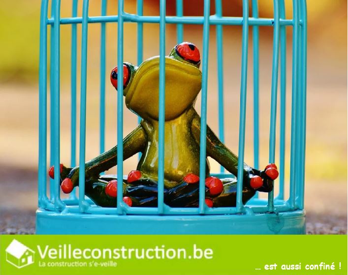 grenouille-en-cage-illustration-pretexte-confinement