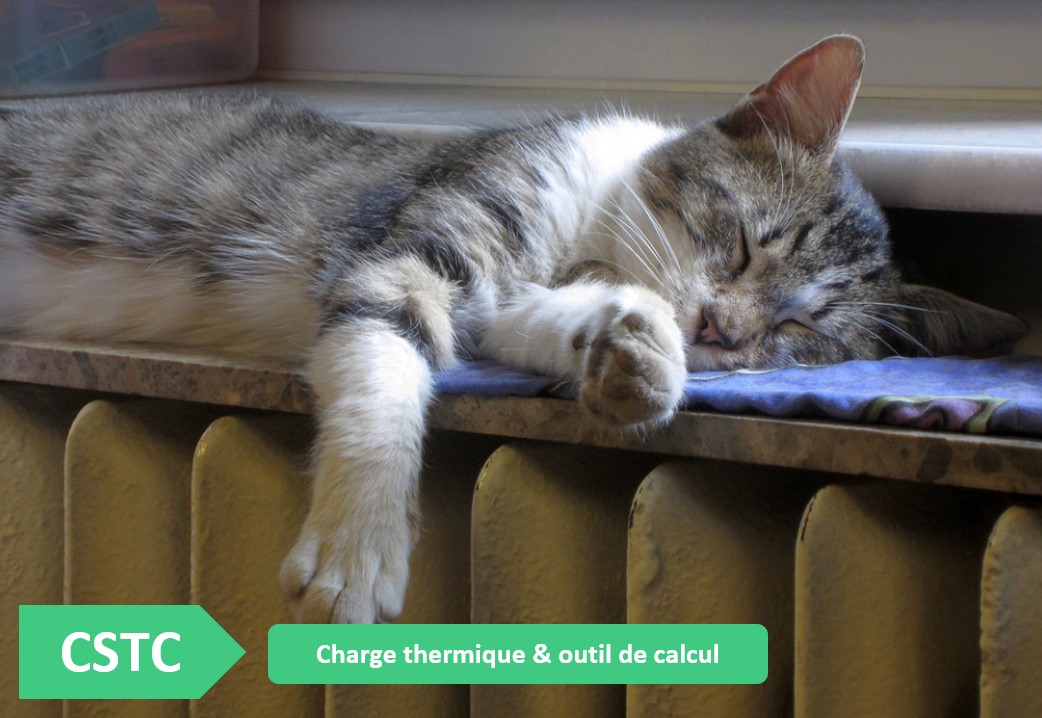 CSTC-chat-sur-radiateur-illustration-pretexte-charge-thermique