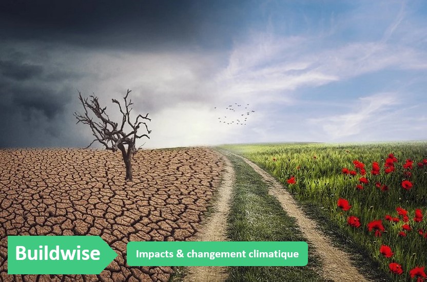 Buildwise-changement-climatique-secheresse-constraste-illustration-pretexte-impacts-en-belgique